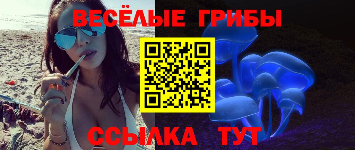 Псилоцибиновые грибы Cubensis Каменск-Уральский